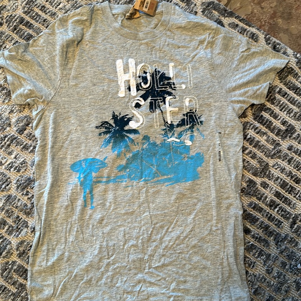 NWT mens Hollister tshirt size L